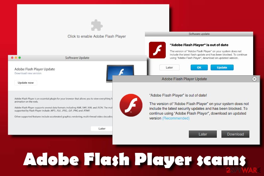 adobe flash player version check